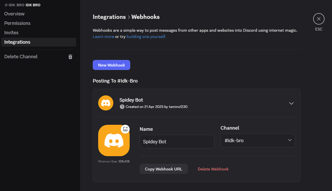 Discord Webhook Example